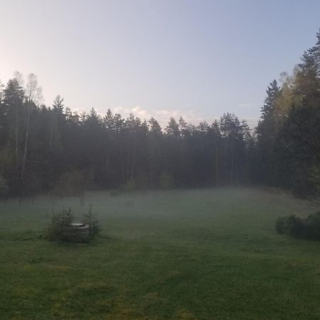 A&S Vidugiris Villa Jurbarkas Kültér fotó